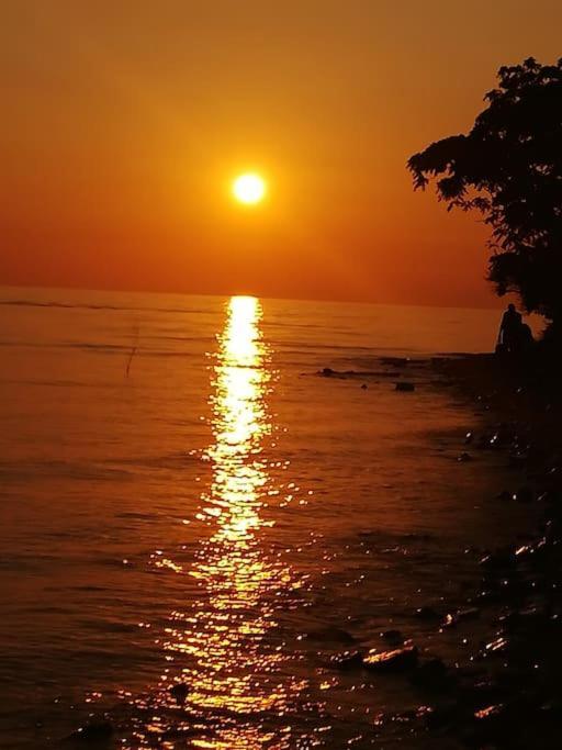 Apartman Den,Rovinj Oaza U Centru Grada I Besplatnim Parkingom Apartment Bagian luar foto